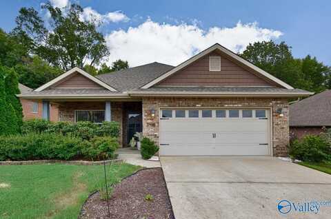 2906 Pasture View Lane, Owens Cross Roads, AL 35763