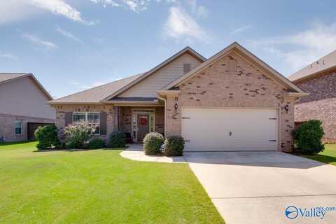 4304 Adventura Drive, Owens Cross Roads, AL 35763