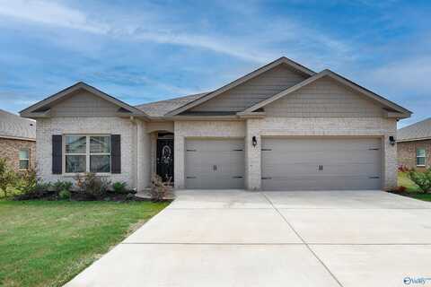 14316 Leadenhall Lane, Athens, AL 35613