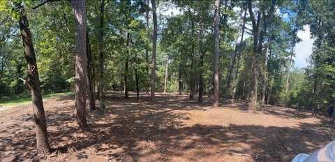 000 Lots 20-22 King Cecil Court, Scroggins, TX 75480