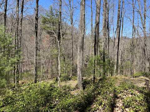 Lot PE 208-R Bauers Lane, Deep Gap, NC 28618