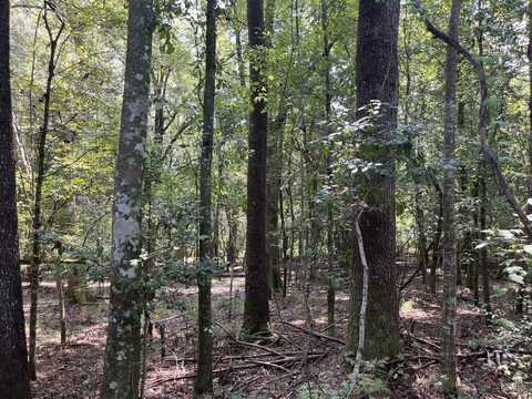 0 Cedar Creek Road, Lucedale, MS 39452