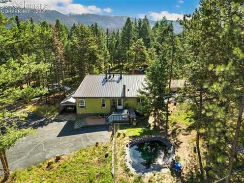 123 Saddle Drive, Woodland Park, CO 80863