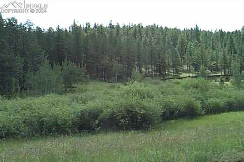 3116 County Road 33, Florissant, CO 80816