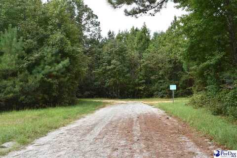 TBD Bazen Lane, Florence, SC 29505