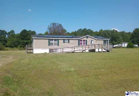 404 Jamestown Ave, Darlington, SC 29532