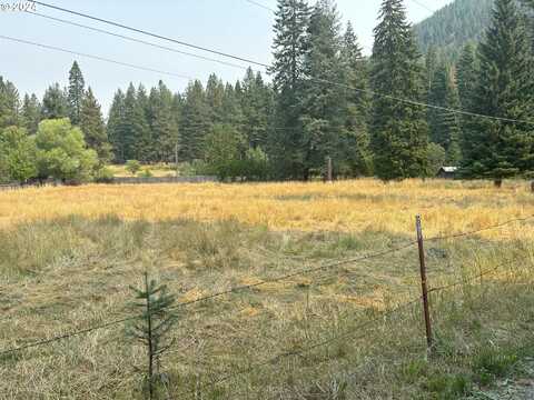 Meadow lane, Joseph, OR 97846