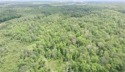 Tbd Skyview Street, Brook Park, MN 55007