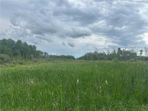 Tbd County Line Road, Aldrich, MN 56434