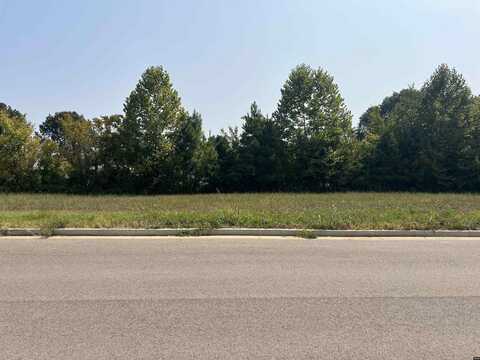 Stevens Street (Lot 32), Union City, TN 38261