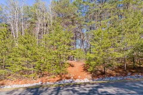 Lot 61 Garrison Ridge, Pittsville, VA 24139