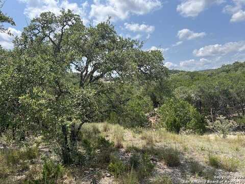 245 Sydney Springs, Helotes, TX 78023