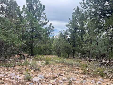 8-a And 8-b Talavera Ln, Tierra Amarilla, NM 87575