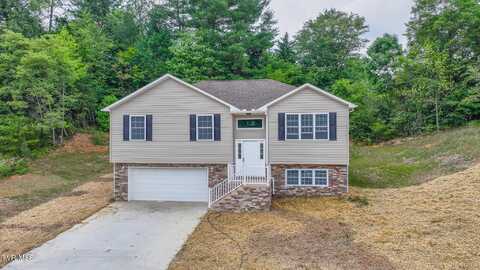 134 Brighton Place, Bristol, TN 37620