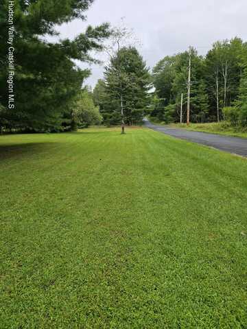 Tbd Lackawack Hill Road, Napanoch, NY 12458