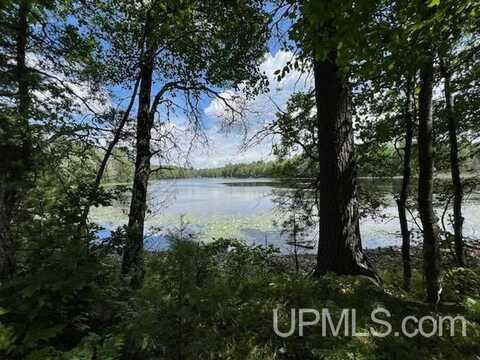 00 S Moon Lake, Watersmeet, MI 49969