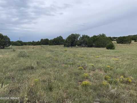 27 CR 8206, Concho, AZ 85924