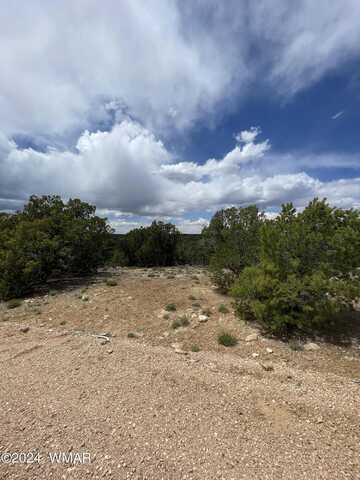 9 County Road 3045, Concho, AZ 85924