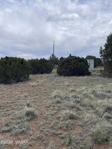 34 Crest Lane, Concho, AZ 85924