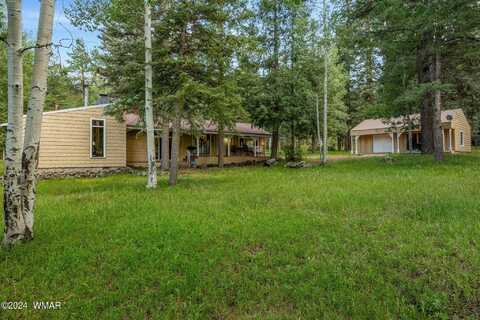 21 County Road 2043, Alpine, AZ 85920