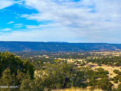 Tbd Co Rd 5062 2.39 Acres, Concho, AZ 85924