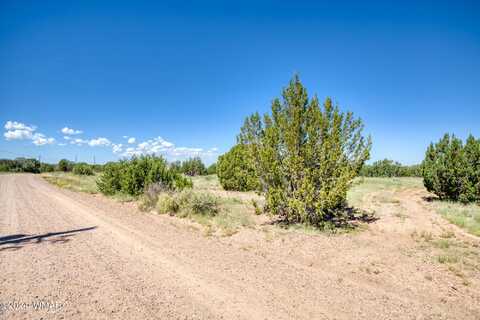 8556 Cannon Boulevard, Show Low, AZ 85901