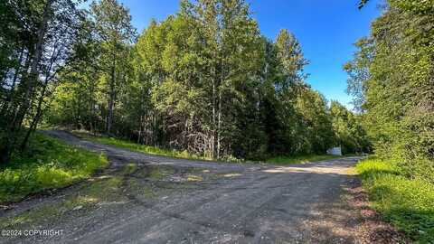 15633 E Montana Drive, Talkeetna, AK 99676