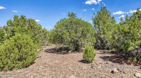 84 COUNTY ROAD N3133 Road, Vernon, AZ 85940