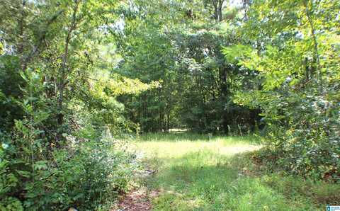 0 OLD WOLF CREEK ROAD, PELL CITY, AL 35128