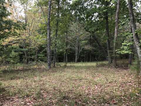 103-b Bluffview Drive, Dunlap, TN 37327