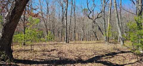 103-b Bluffview Drive, Dunlap, TN 37327