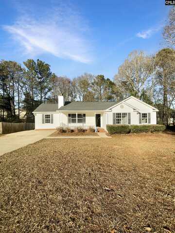 18 Garrington Court, Chapin, SC 29036