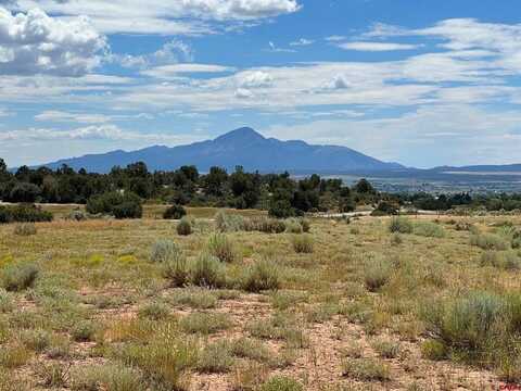 TBD Road 25, Dolores, CO 81323