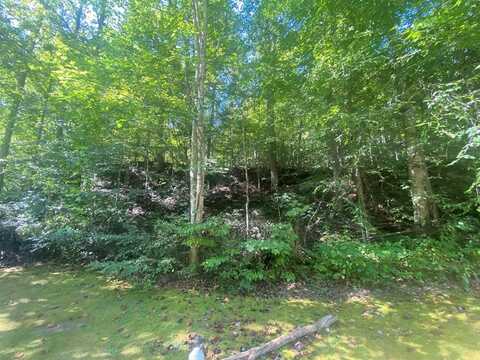 LOT 5 BUFFALO CREEK RD, Williamson, WV 25661