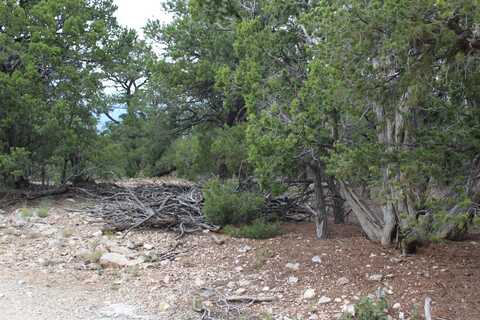 7 Manzano Loop, Tijeras, NM 87059