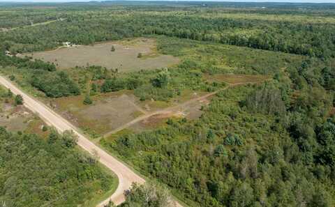 00 V/L Niemi Rd. PARCEL 1, Bear Lake, MI 49614