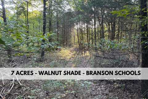 Lot 2 Round Mountain Road, Walnut Shade, MO 65771