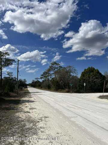 10180 zebrafinch Avenue, Brooksville, FL 34614