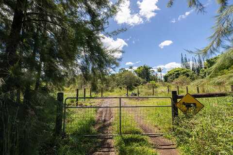 17-4794 IKE ONIPAA RD, MOUNTAIN VIEW, HI 96771