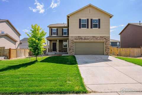 3623 Torch Lily St, Wellington, CO 80549