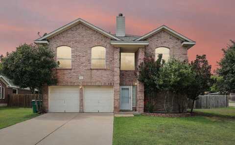 500 Geyser Ave, Pflugerville, TX 78660