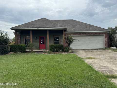 204 Oak Park Crossing, Pearl, MS 39208