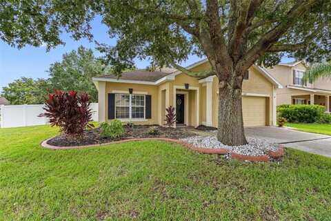 6118 BLUE SAGE DRIVE, LAND O LAKES, FL 34639