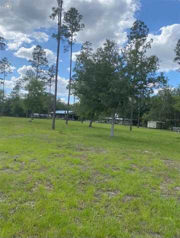 2010 SE 111TH COURT, MORRISTON, FL 32668