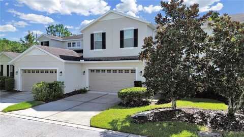 8116 HAMPTON VIEW LANE, TAMPA, FL 33647