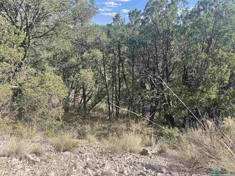 28 Wishita Dr Drive, Timberon, NM 88350