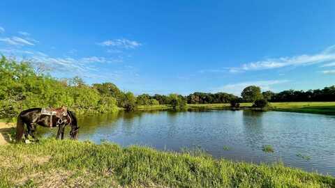 14129 Vitera Sand Road, Bremond, TX 76629