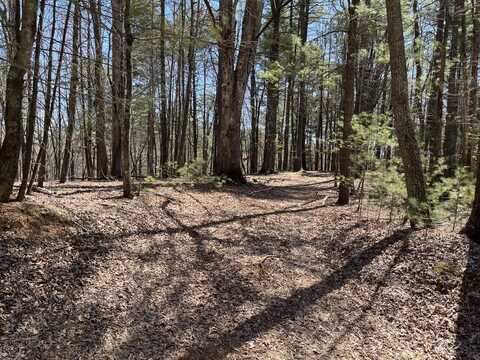 Lot 201 Powder Horn Estates Rd., Deep Gap, NC 28618