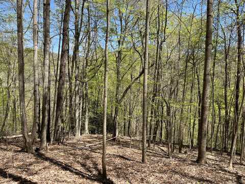 Lot 113 Avalon Way, Deep Gap, NC 28618