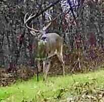 151 Churchill Rd 151 Churchill Rd, Natchez, MS 39120